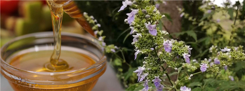 Vitex honey