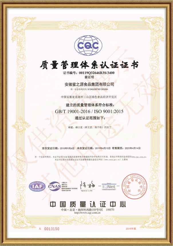 ISO 9001 Certificate