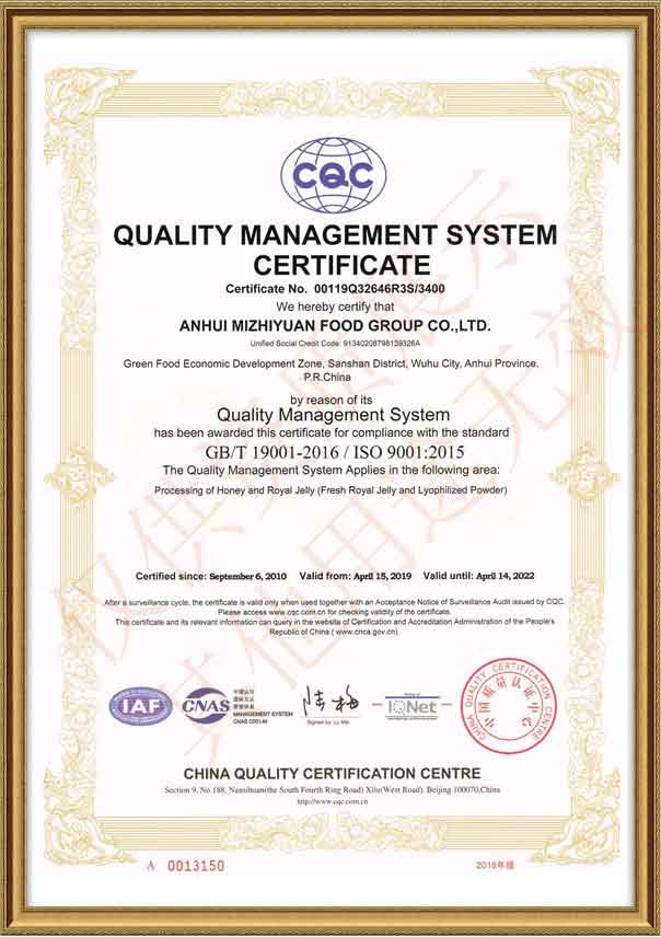 ISO 9001 Certificate