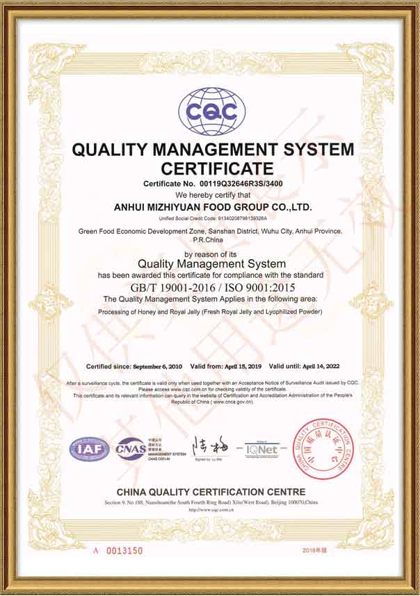 ISO 9001 Certificate