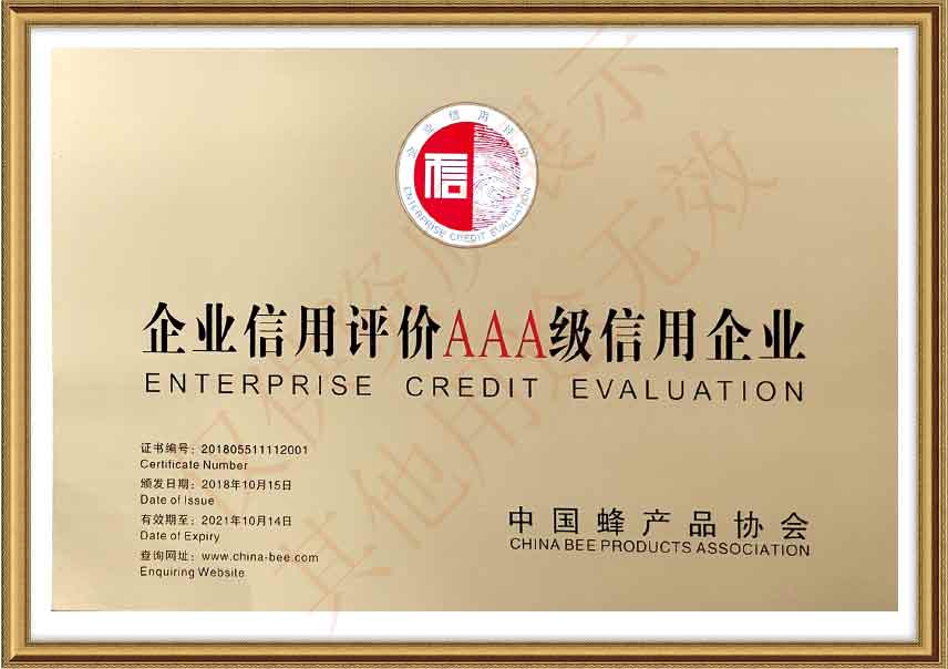 AAA Credit Enterprise Evalution